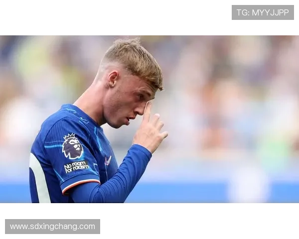 帕尔默伤愈复出恢复训练 迎战水晶宫在望