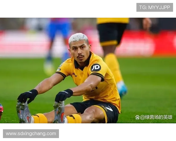 欧洲豪门盯狼队安德烈身价浮动